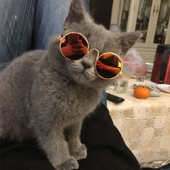 חתלתול טיפוח כלב חתול משקפיים מגניבות תמונות אביזרים עין-ללבוש מחמד עין משקפי הגנה להתלבש אופנה חתול משקפי שמש